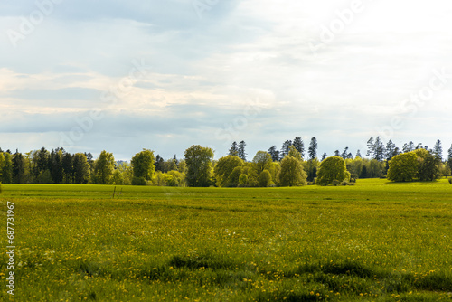 Grassy fields and trees in green rolling hills below a blue sky in the light of sunset in summer