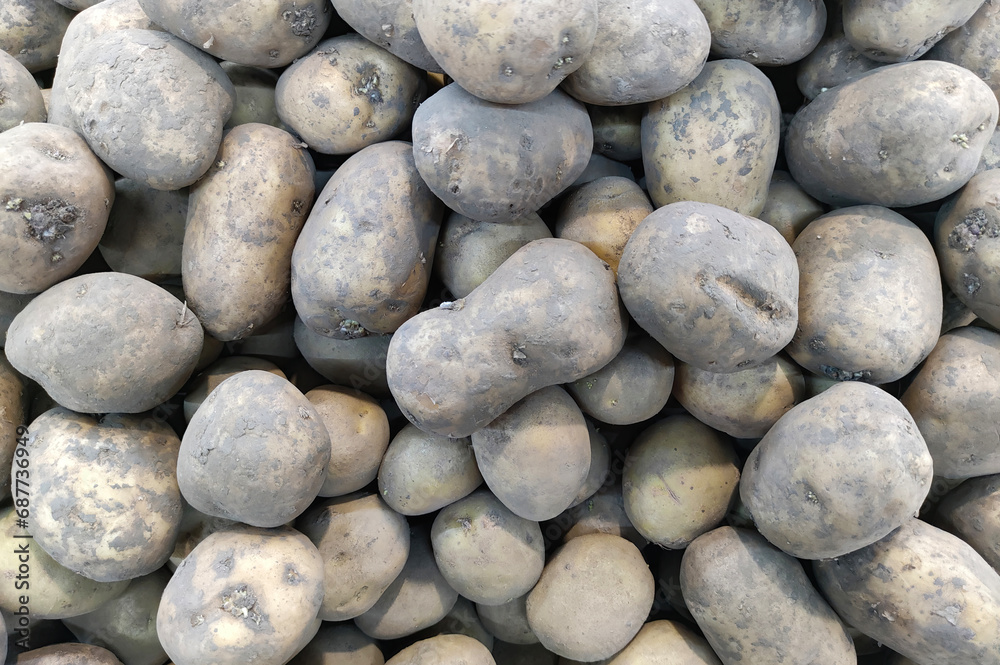 Potato pattern for decoration, design and advertising. Potato pattern for decoration, design and advertising.