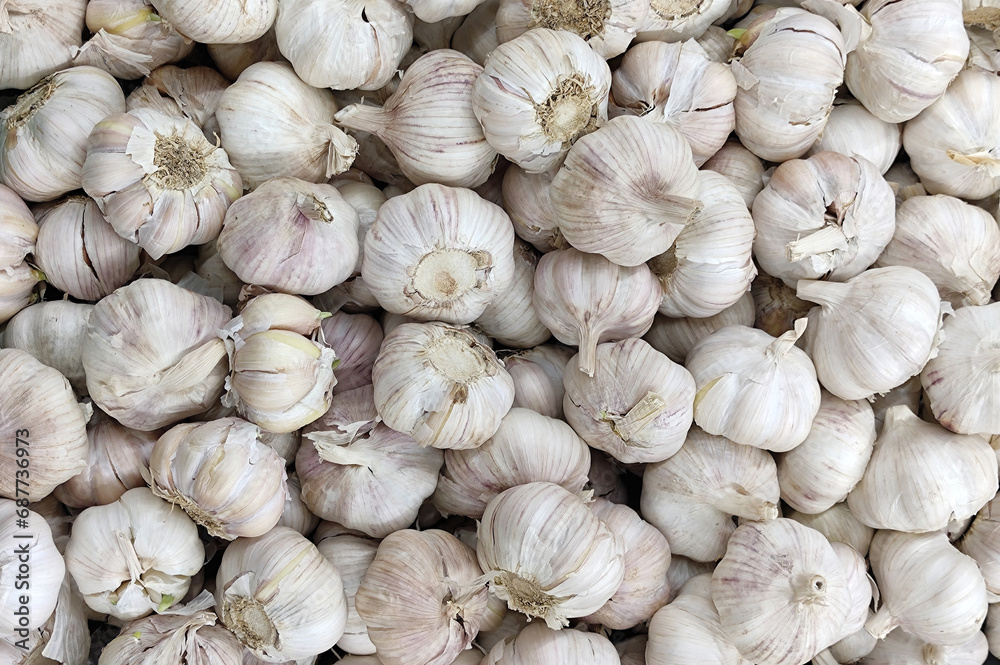 Garlic pattern for decoration, design and advertising. Garlic pattern for decoration, design and advertising.