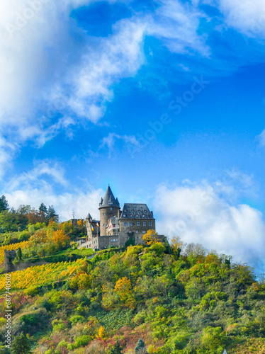 Stahleck castle and vineyards, Bacharach on the Rhine River