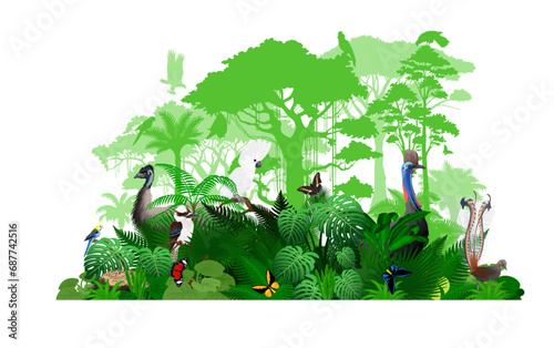 Vector Australia tropical jungle rainforest illustration with animals.	 photo