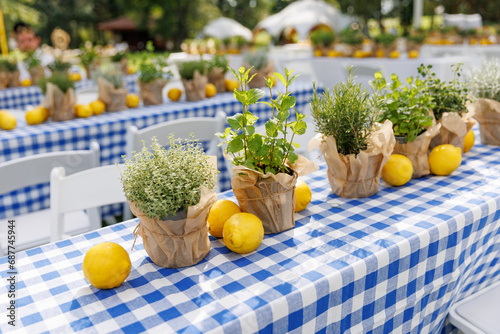Foto Fresh Citrus Fruits on Plaid Tablecloth