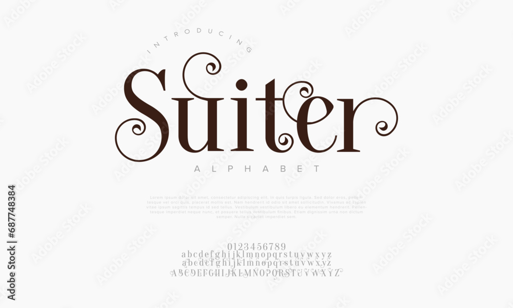 Suiter premium luxury elegant alphabet letters and numbers. Elegant wedding typography classic serif font decorative vintage retro. Creative vector illustration Suiter premium luxury elegant alphabet letters and numbers. Elegant wedding typography classic serif font decorative vintage retro. Creative vector illustration