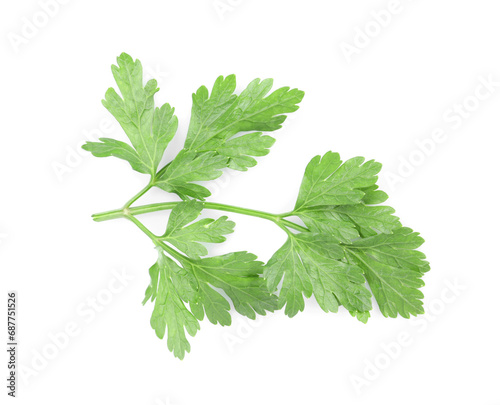 Sprig of fresh green parsley leaves on white background, top view