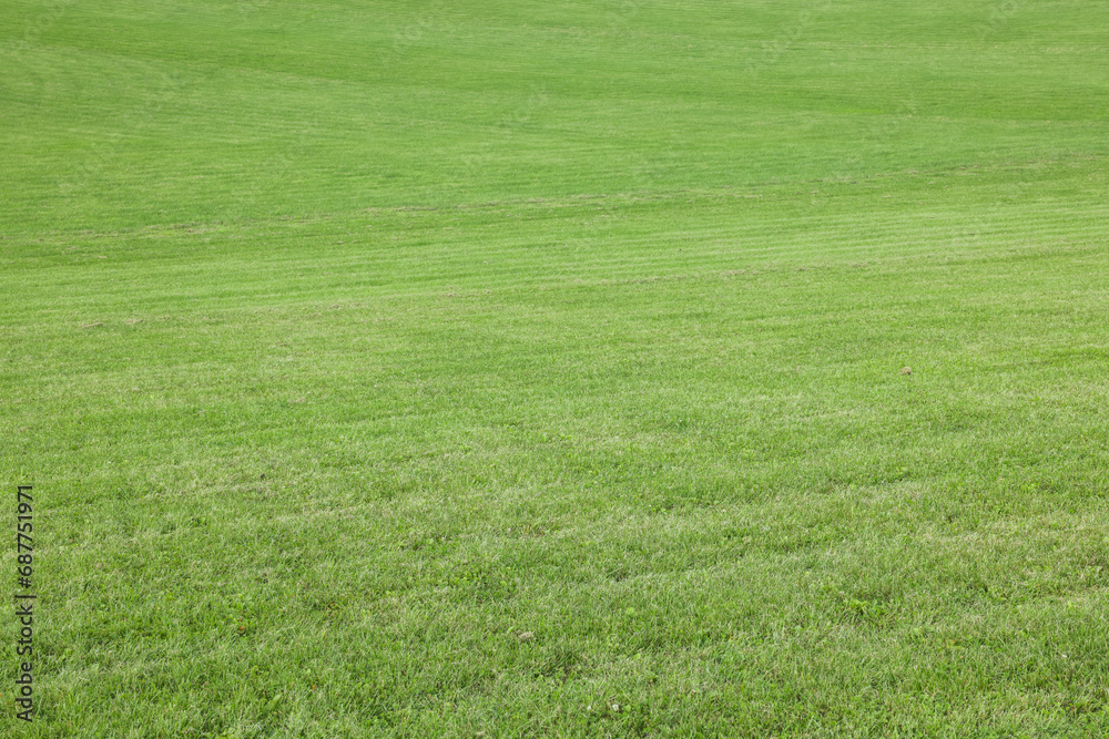 Beautiful lawn with bright green grass outdoors Beautiful lawn with bright green grass outdoors
