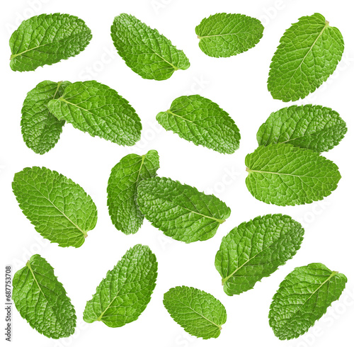 Fresh mint leaves falling on white background