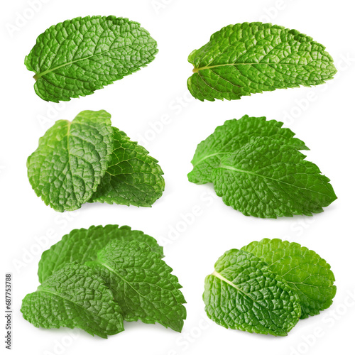 Fresh mint leaves isolated on white, set © New Africa