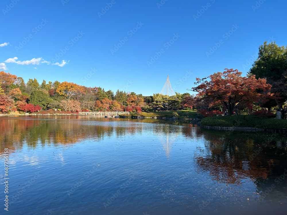 Maple leaves in autumn and a Japanese garden in Tokyo
Maple leaves in autumn and a Japanese garden in Tokyo