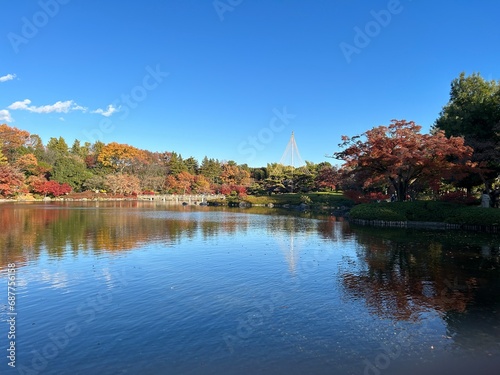 Maple leaves in autumn and a Japanese garden in Tokyo 