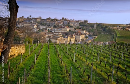 Vineyards on the edge of the medieval city of Saint-Emilion  France in the morning light.