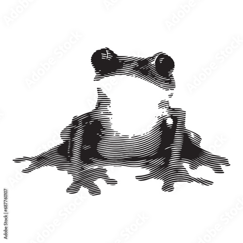 frog hand draw vintage engraving style black and white clip art isolated on white background