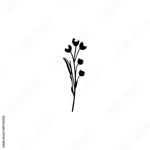 decoration plant black and white illustration