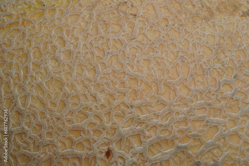 Melon skin texture,super close up