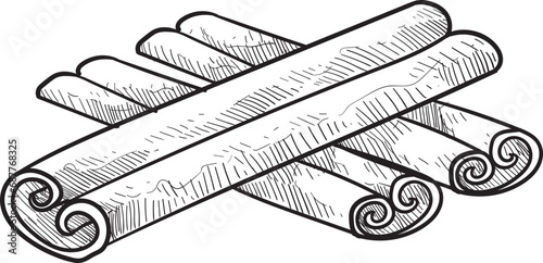 cinnamon handdrawn illustration