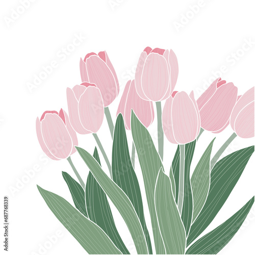 Spring flowers vector illustration. Bouquet of pink tulips flowers for Valentine's Day, Birthday, Mother's Day.