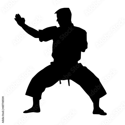 Silhouette of a man in oriental martial art pose. Silhouette of a male in martial art move.