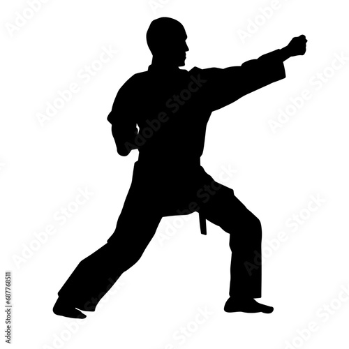 Silhouette of a man in oriental martial art pose. Silhouette of a male in martial art move.