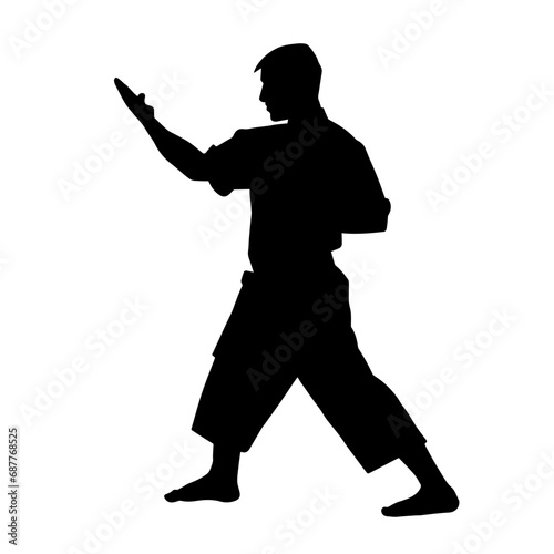 Silhouette of a man in oriental martial art pose. Silhouette of a male in martial art move.