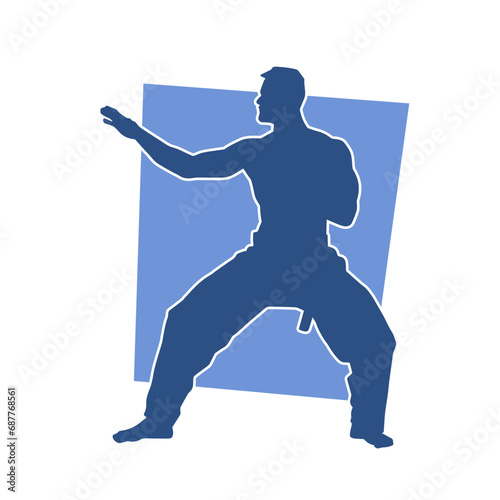 Silhouette of a man in oriental martial art pose. Silhouette of a male in martial art move.