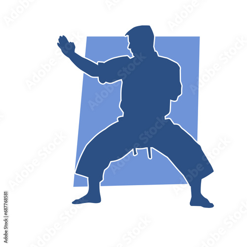 Silhouette of a man in oriental martial art pose. Silhouette of a male in martial art move.