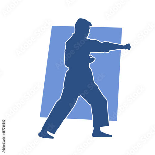 Silhouette of a man in oriental martial art pose. Silhouette of a male in martial art move.