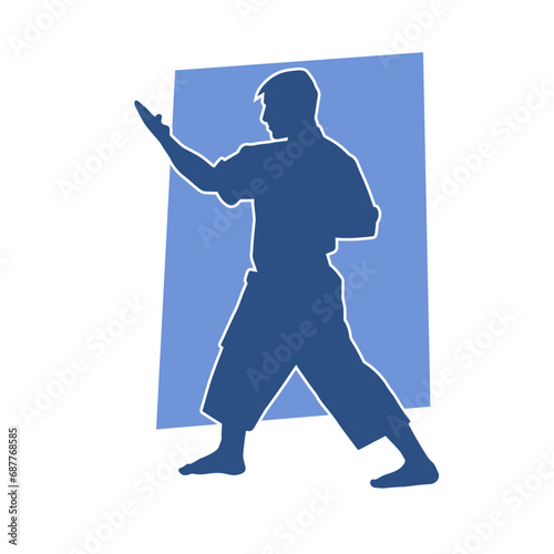 Silhouette of a man in oriental martial art pose. Silhouette of a male in martial art move.