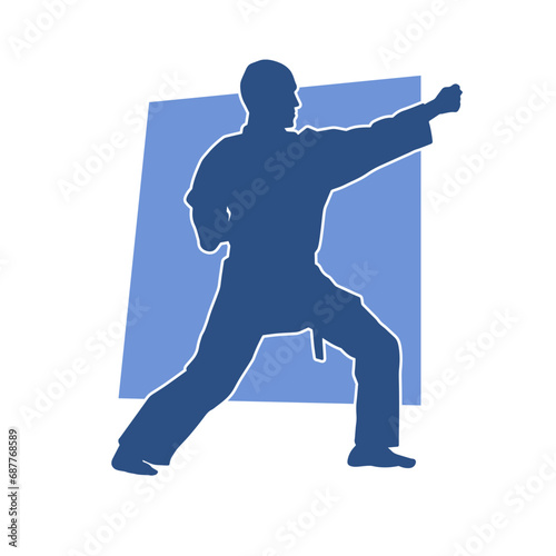 Silhouette of a man in oriental martial art pose. Silhouette of a male in martial art move.