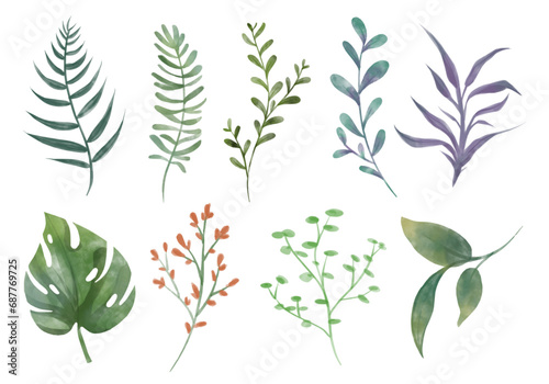 Botanical vector watercolor illustrations. Leaf and flower clipart. Set of green leaves  herbs  branches and Floral Design elements for wedding invitations  greeting cards  blogs and posters.