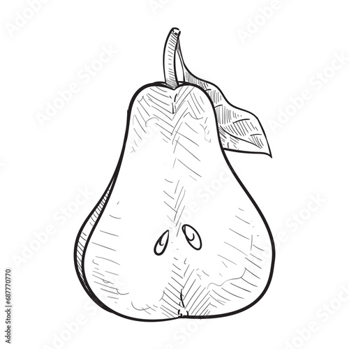 pear handdrawn illustration