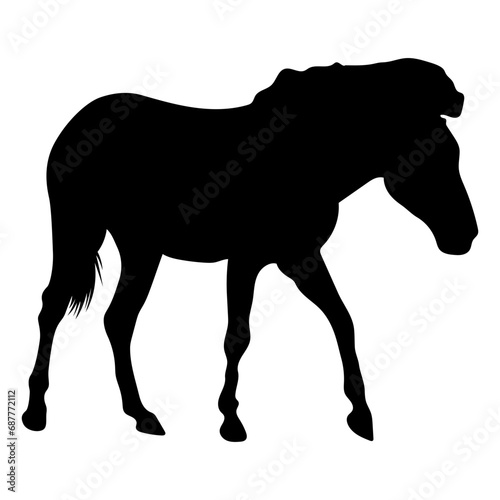 Horse Silhouette