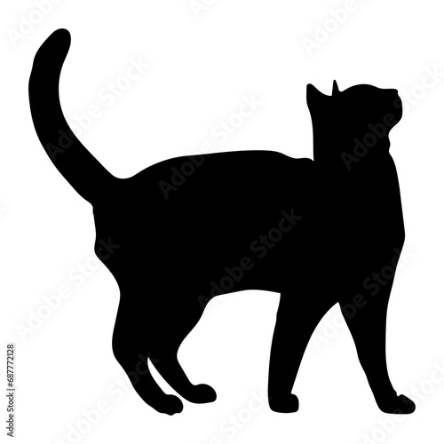 Cat Silhouette