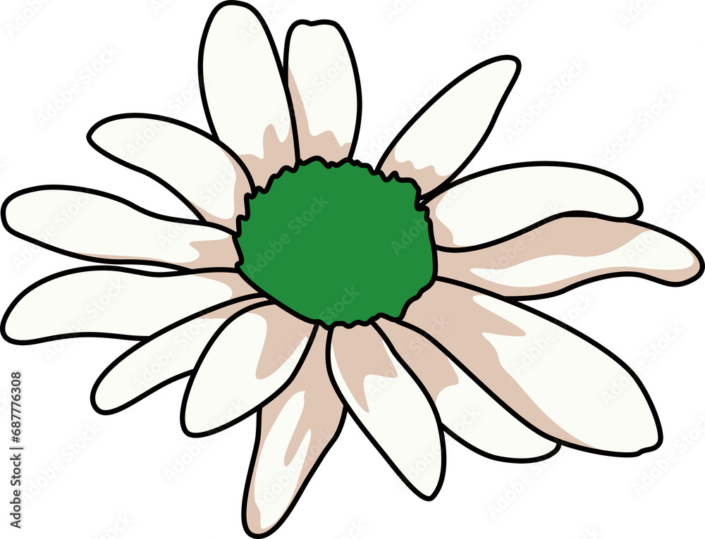 花(Flower) 花(Flower)
