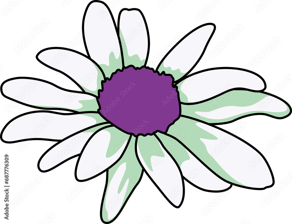花(Flower) 花(Flower)