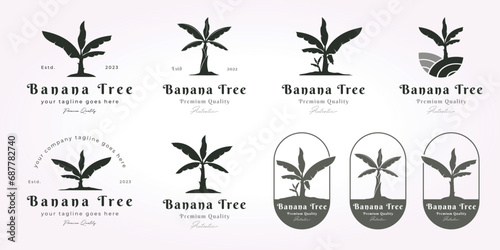 bundle banana tree logo vintage design set. simple banana tree logo vector design, banana tree vintage icon illustration