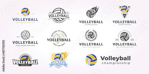 vintage vector volleyball logo bundle, simple design set of volleyball illustrations