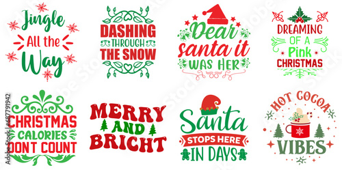 Merry Christmas and Winter Calligraphic Lettering Set Christmas Vector Illustration for Wrapping Paper  Label  Magazine