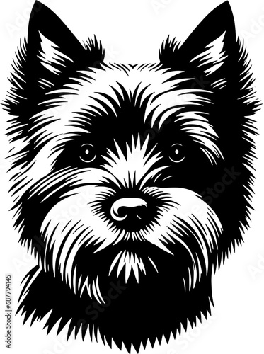 Norwich Terrier icon 7