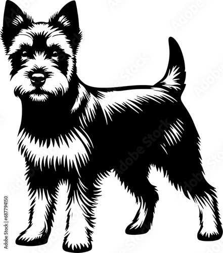 Norwich Terrier icon 6
