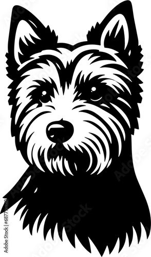 Norwich Terrier icon 1