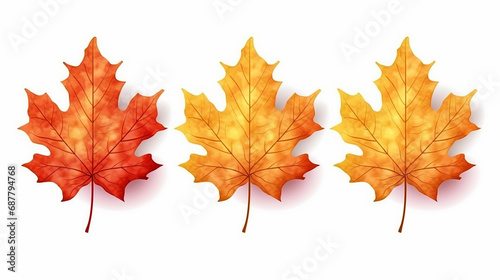 Set of realistic autumn yellow red orange leaves isolated on white background. 