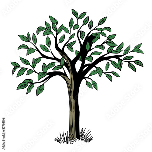  trees with green leaves, trees with grass roots, trees upright, trees without roots