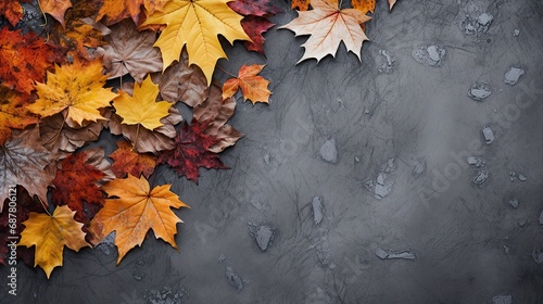 Autumn leaves on black textured background. Top view with copy space © ffunn