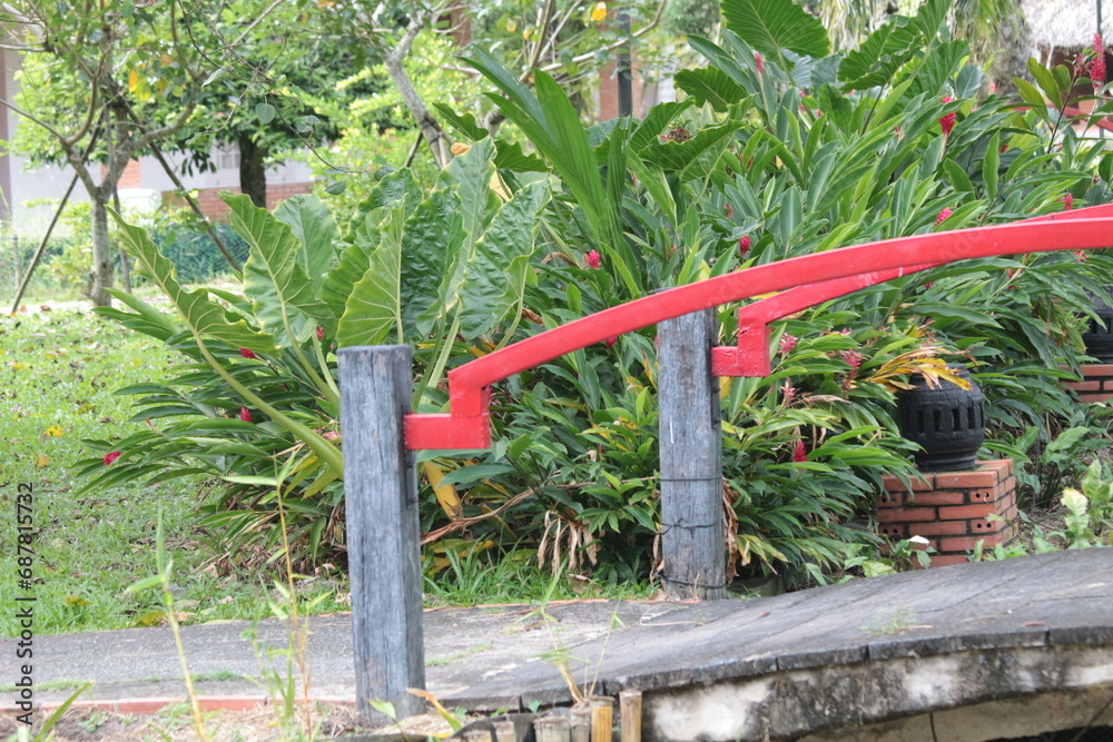 flowers trees and bushes in a garden including banana and lotus flowers trees and bushes in a garden including banana and lotus