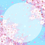 桜と青空の背景素材　円形の枠　桜吹雪　お花見　入学　卒業　入園　卒園　入社　ひな祭り　雛祭り　正方形
