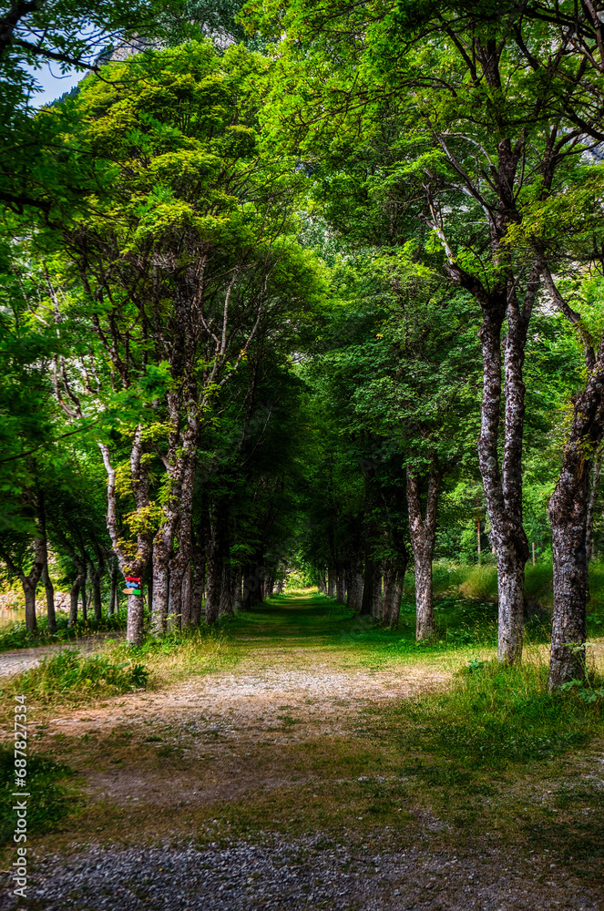Fototapeta premium Panticosa Spa located in Panticosa, Huesca, Aragon, Spain