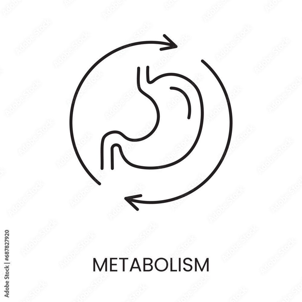 Fototapeta premium Metabolism line icon vector for diabetes management and treatment