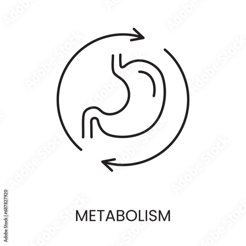 Metabolism line icon vector for diabetes management and treatment