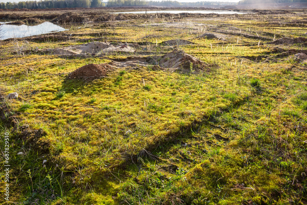 Landscape of an overgrown sand quarry with green moss Landscape of an overgrown sand quarry with green moss
