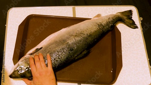 Fresh Salmon on a Tray