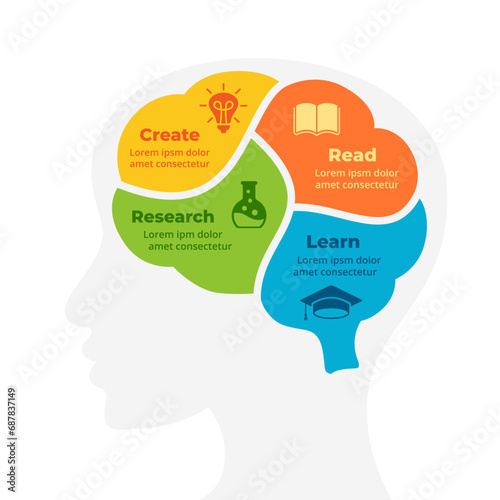 Brain Anatomy Infographic. Human Head Face. Brainstorm & Emotions. Vector Education Concept. Creative thinking illustration. Circle diagram 4 parts, steps. Generating Idea process